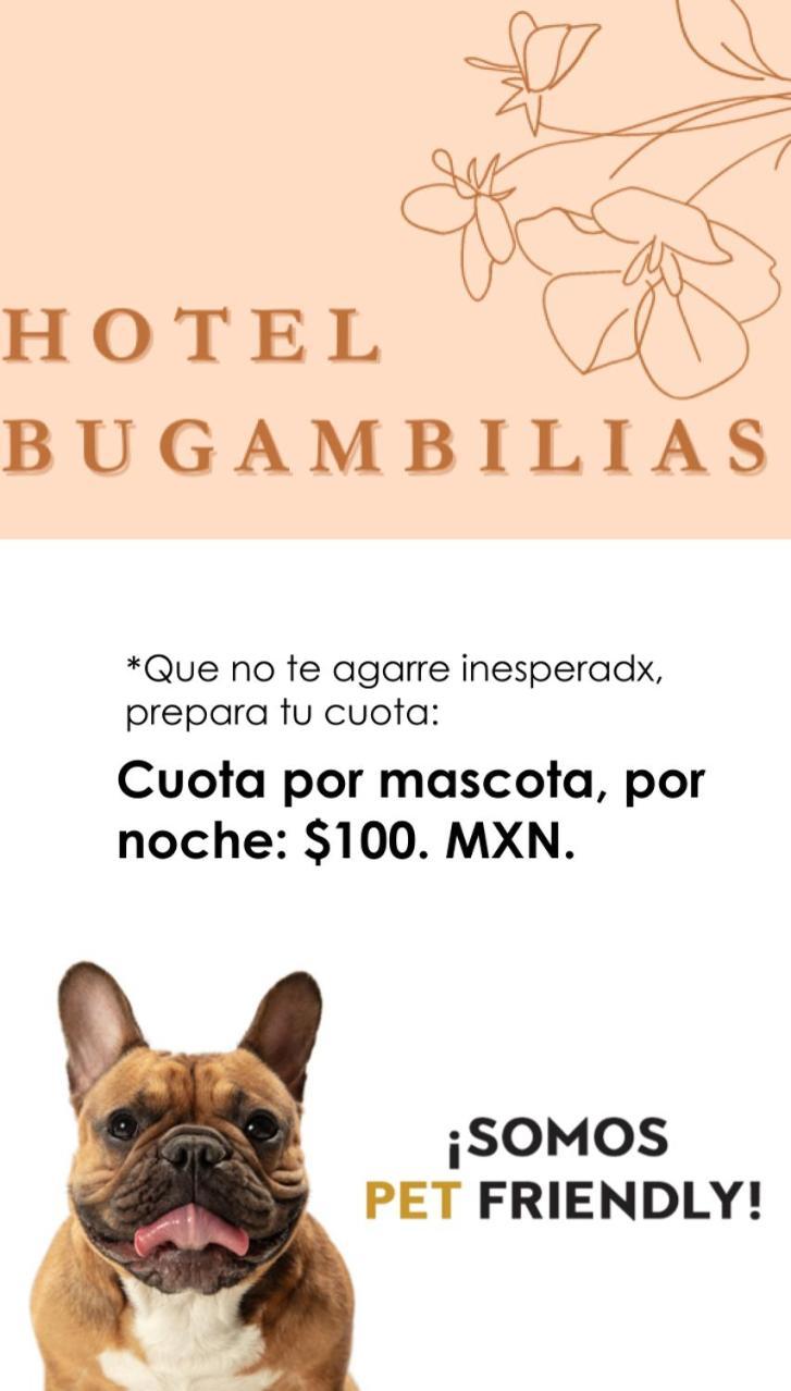 Hotel Bugambilias Oaxaca Kültér fotó
